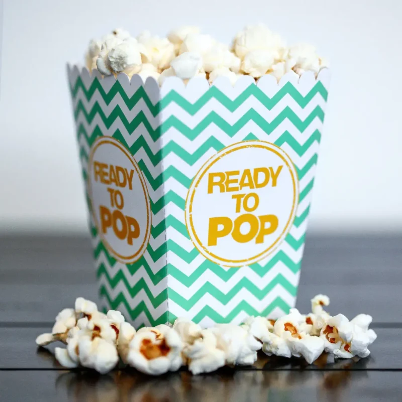 Popcorn Boxes - Image 2