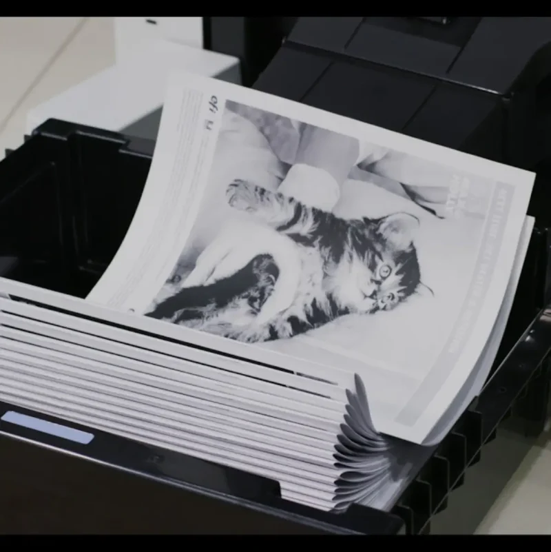 Booklet Printing - Image 2